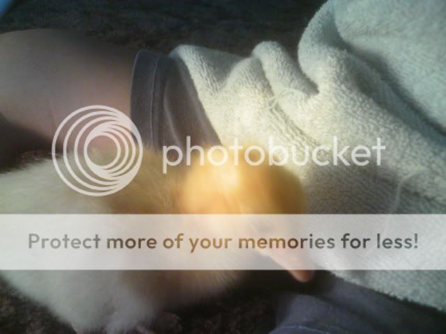 PICT0478.jpg