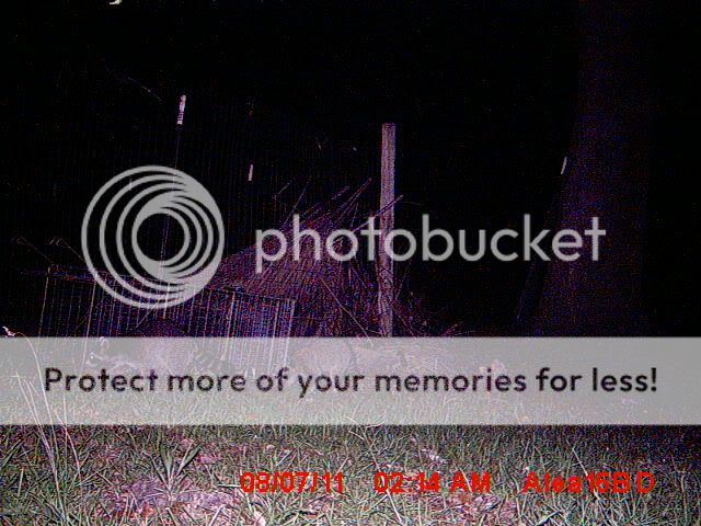 MDGC0009.jpg