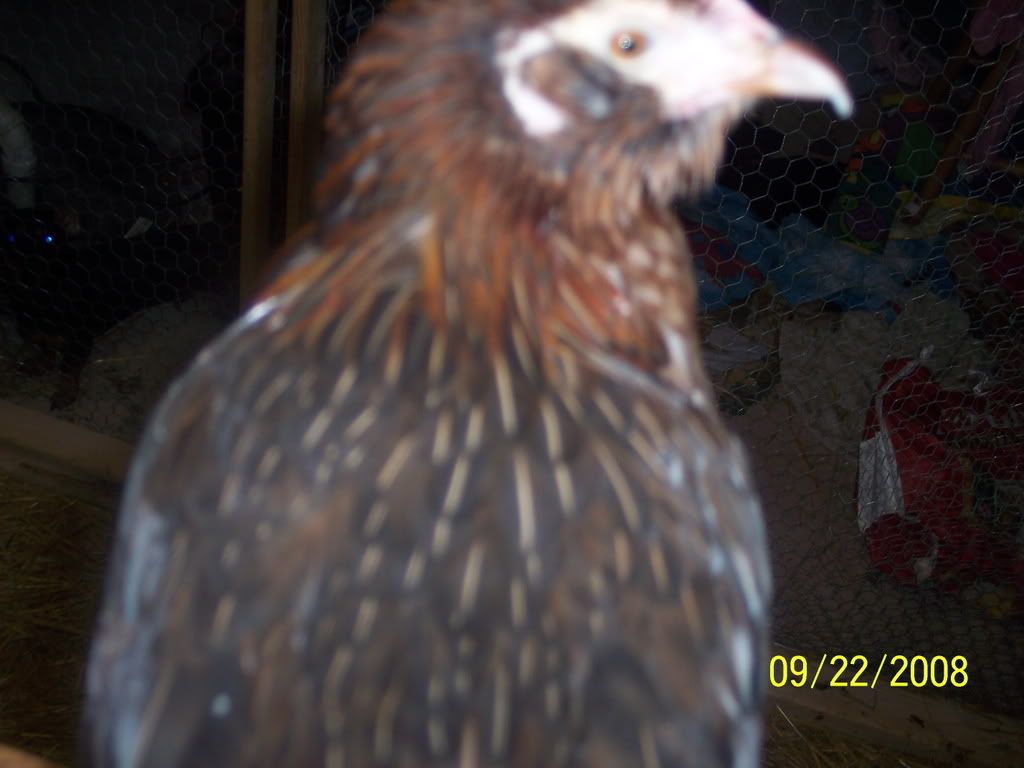 Picture182.jpg