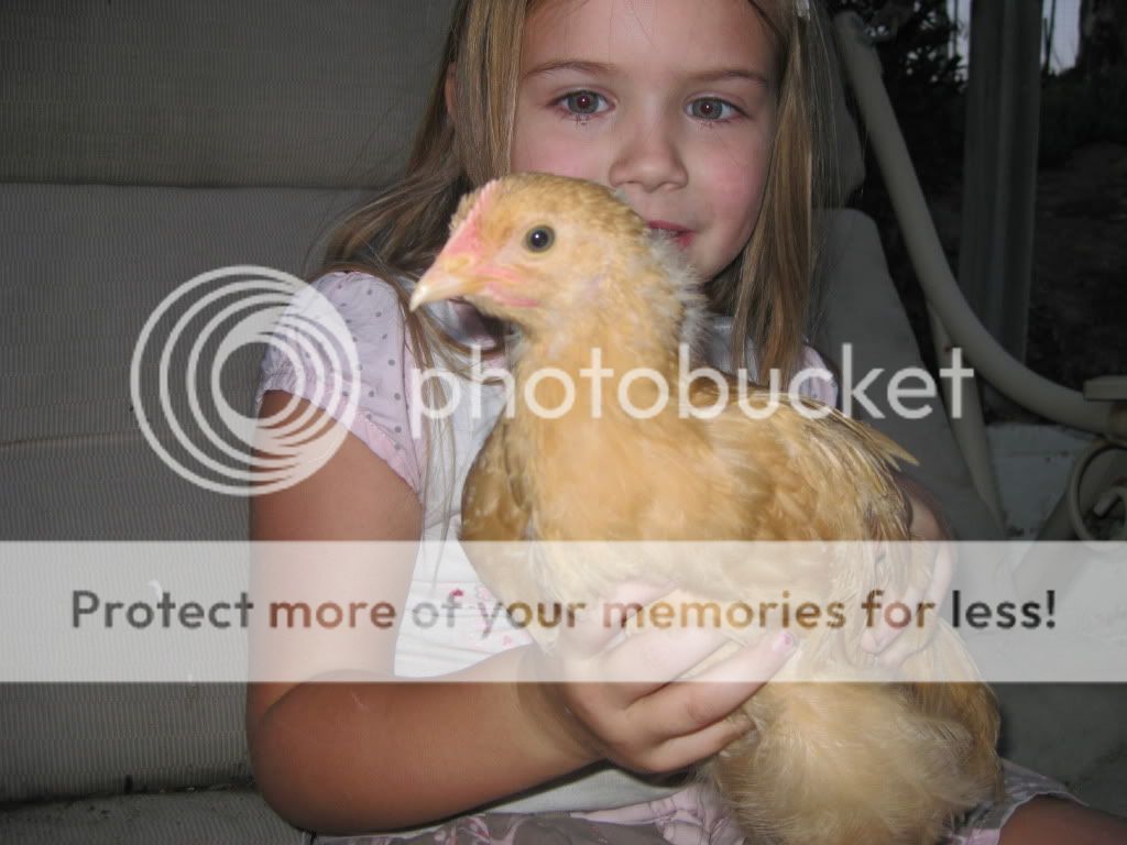 IMG_1586076.jpg