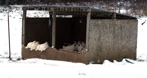 fresh_air_house_in_snow.jpg