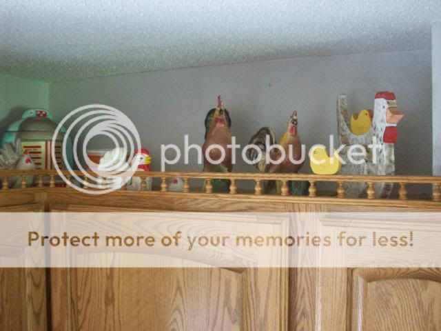019-4.jpg