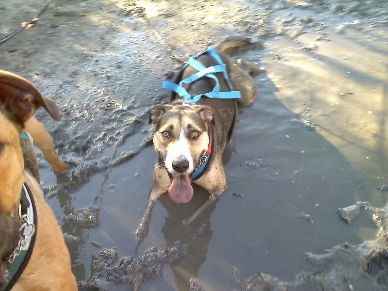 20110115084628.jpg
