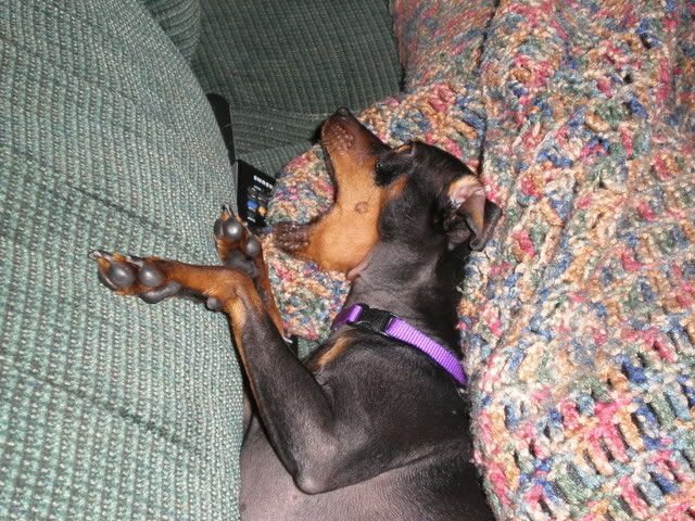 August2008059.jpg