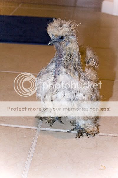 SplashDec23099364LR.jpg