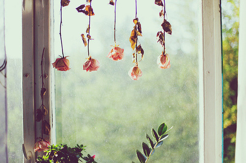 tumblr_m00f4tZV3X1rq6opho1_500.jpg