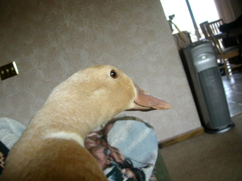 DSCN0672.jpg