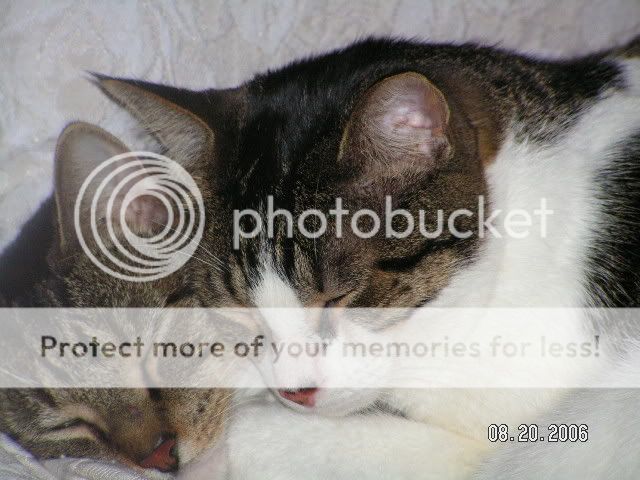 PICT0897.jpg
