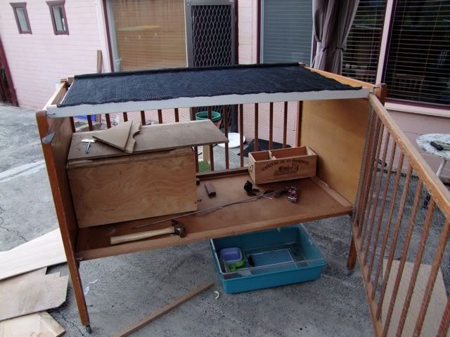 DSCF0138.jpg