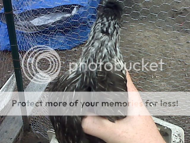 IMG01625.jpg