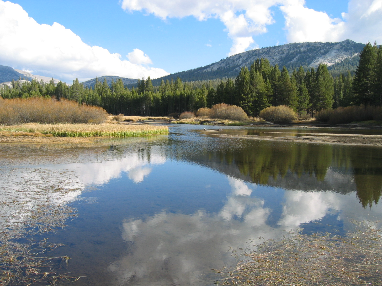 Yosemite-tuolumne_meadows_1.jpeg