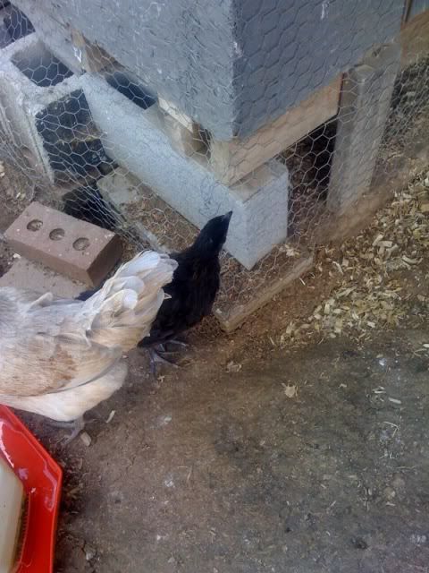 photo-179.jpg