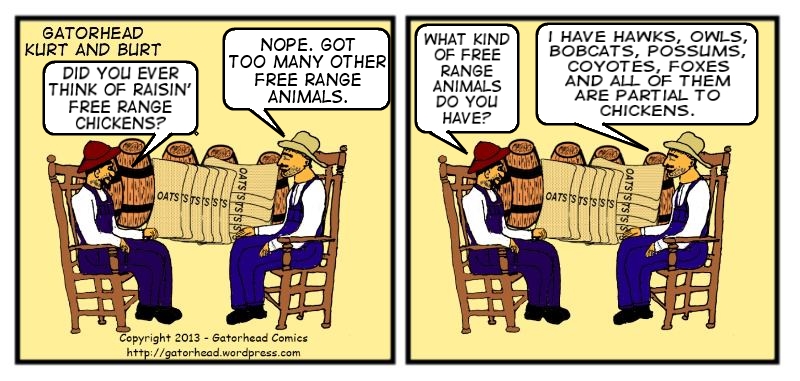 k-b-free-range.jpg