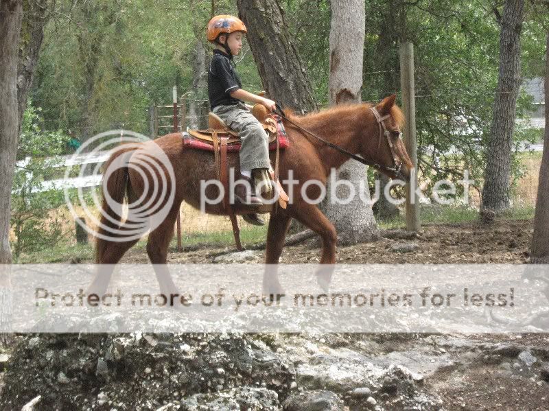 IMG_0839Standarde-mailview.jpg