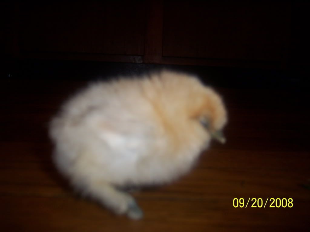 Picture139.jpg