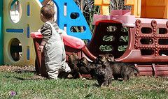 pup6.jpg