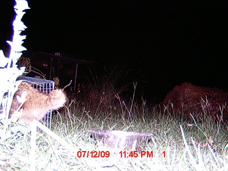 MDGC0006.jpg