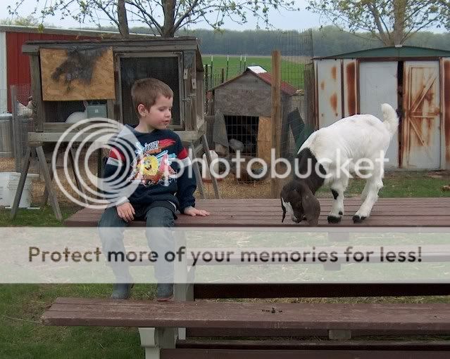 joshuaandthegoats004.jpg