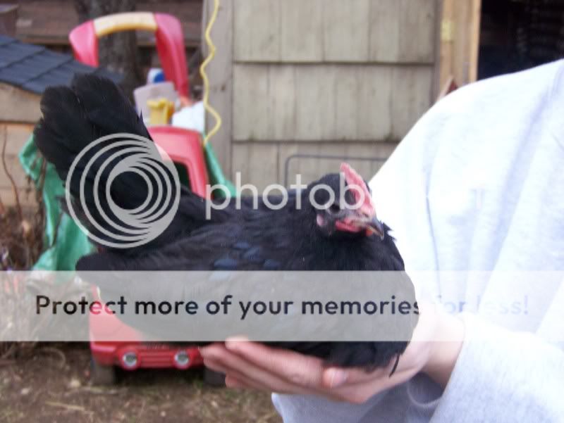100_6779.jpg