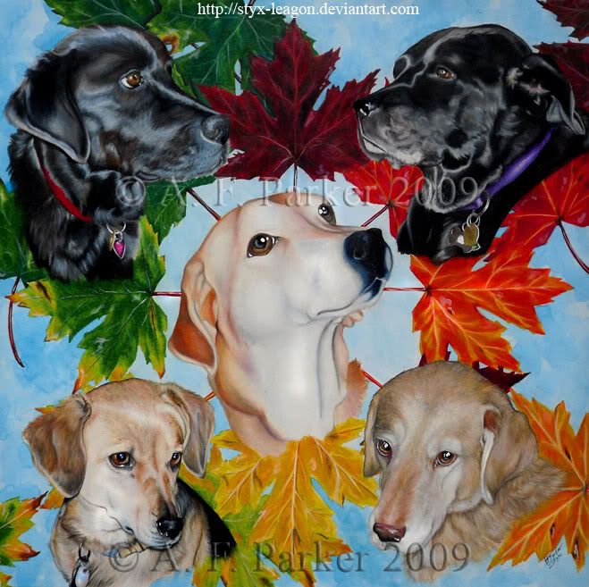 Seasons-of-the-HeartCM.jpg