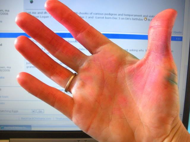 hands003.jpg