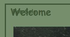 webpage1.jpg