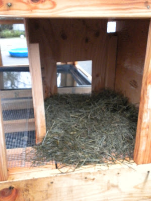 DSCN2765.JPG