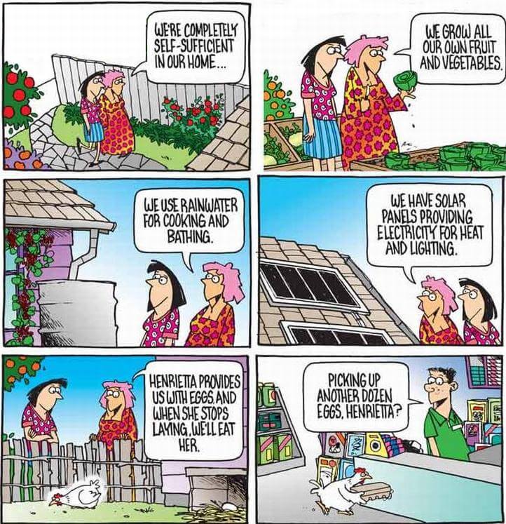 Henrietta_the_Chicken.jpg