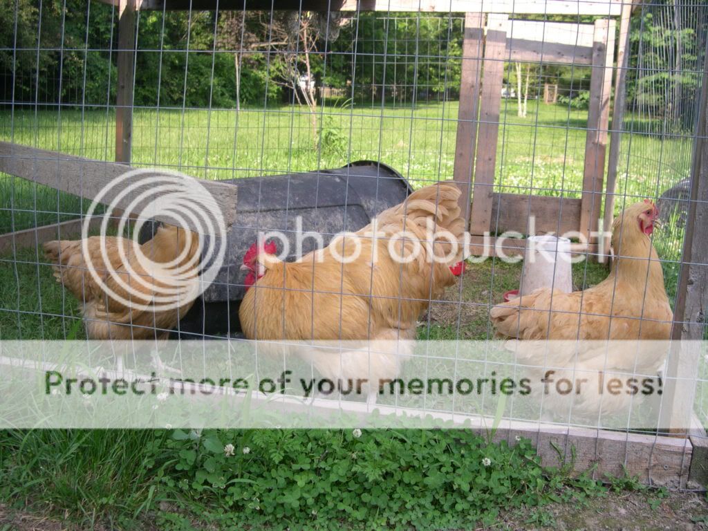 003-25.jpg