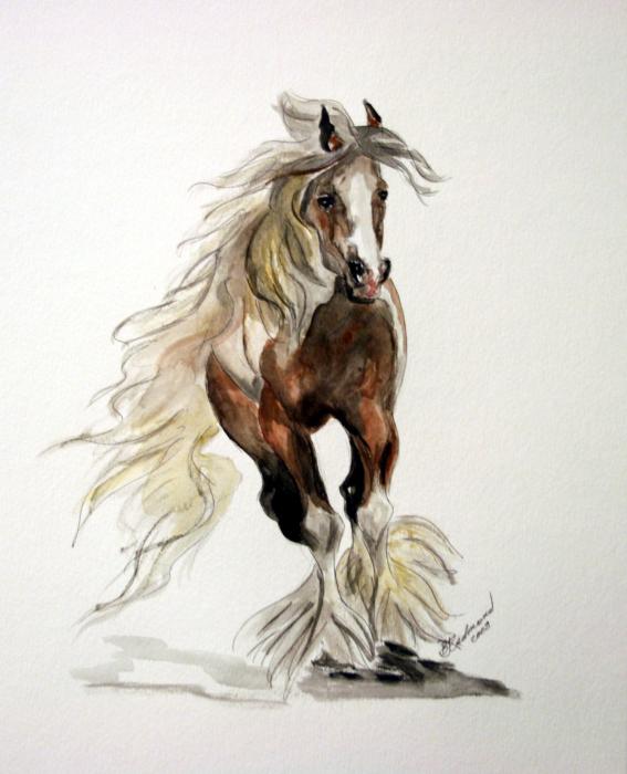 gypsy-vanner-stallion-bj-redmond.jpg