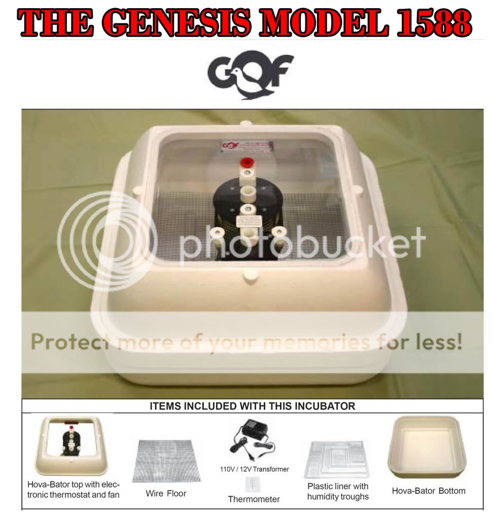 incubator.jpg