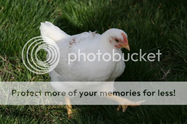 IMG_6305.jpg