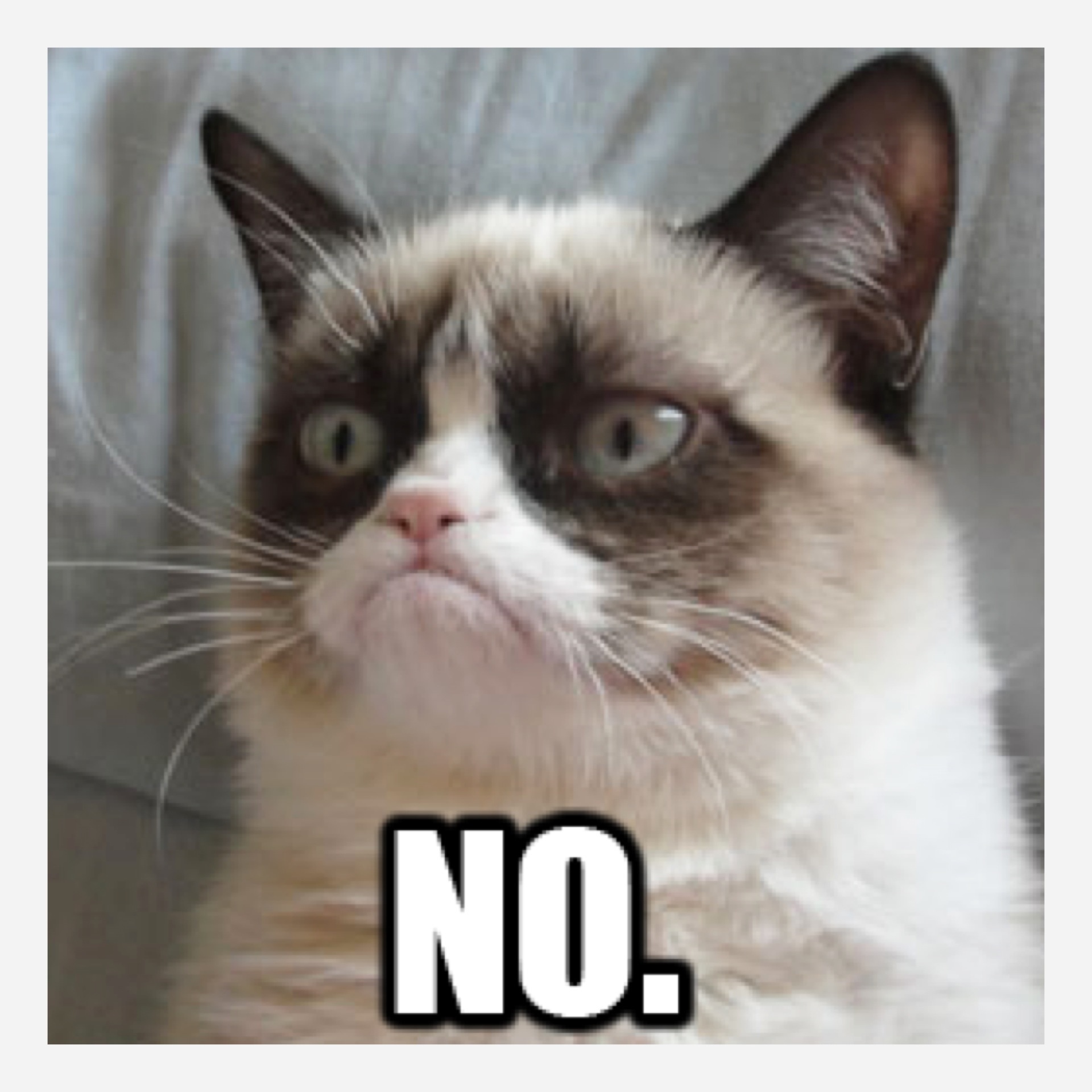grumpy-no.jpg