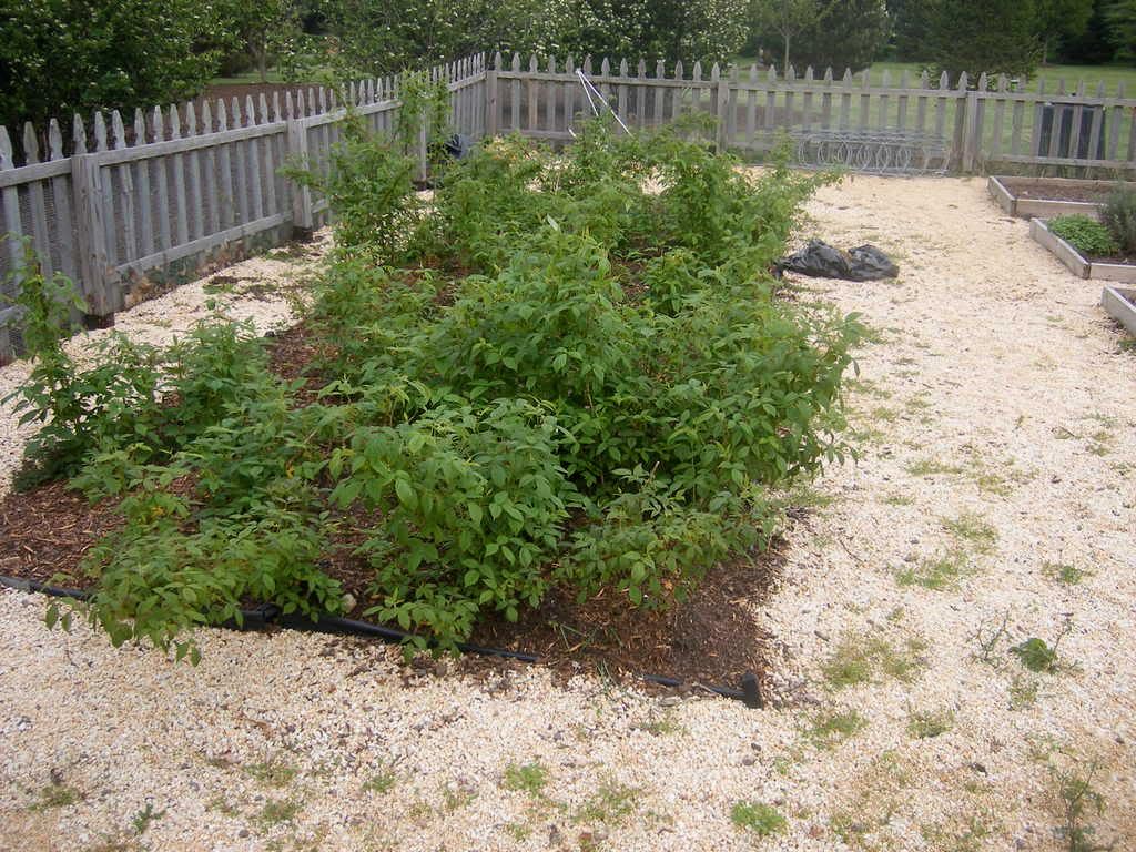 DSCF1346.jpg