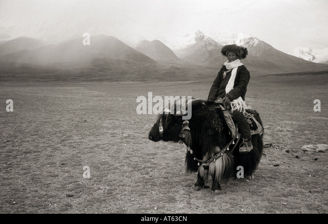 tibetan-man-riding-a-yak-at63cn.jpg