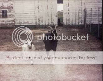 12-27-2008-19-08-06-265.jpg