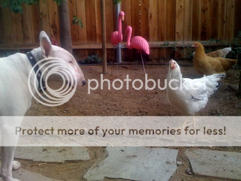 photo17.jpg