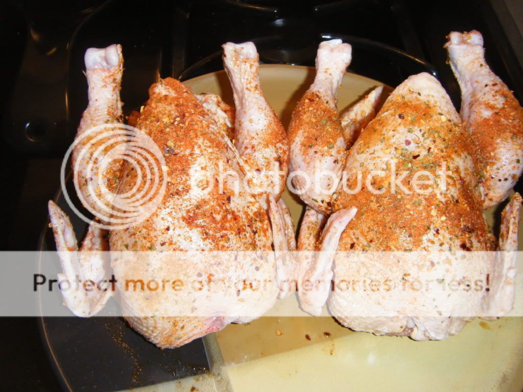 CornishGamehens.jpg