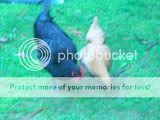 DSCN0933.jpg