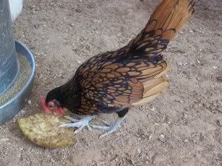 100_0139.jpg