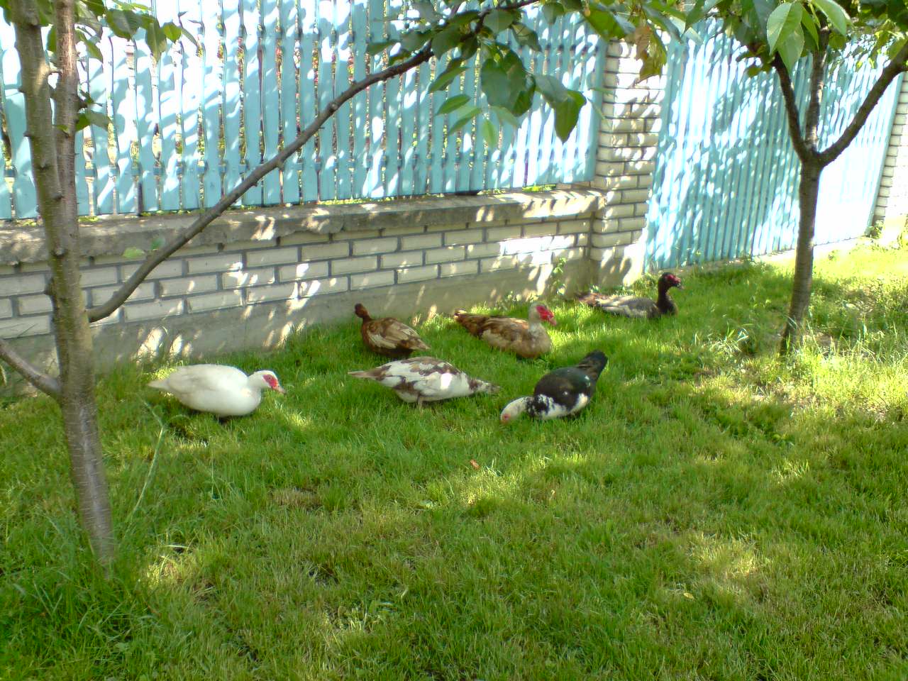 IMG_0009014222.jpg