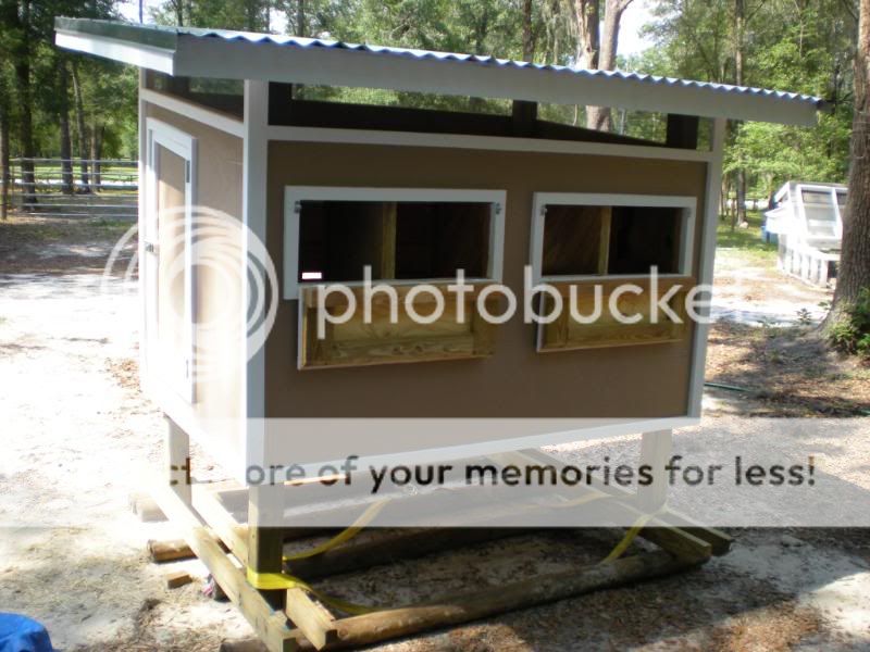chickencoop2010.jpg