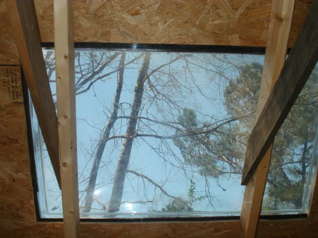DSC03913.jpg