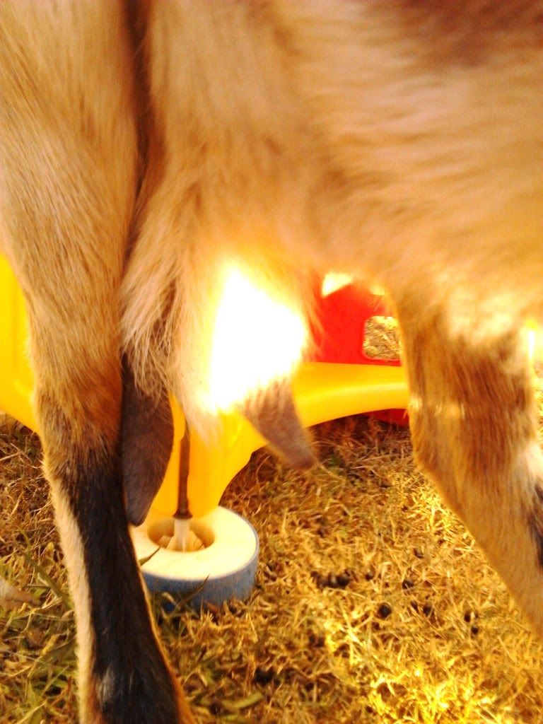 IMG_20120105_084207.jpg