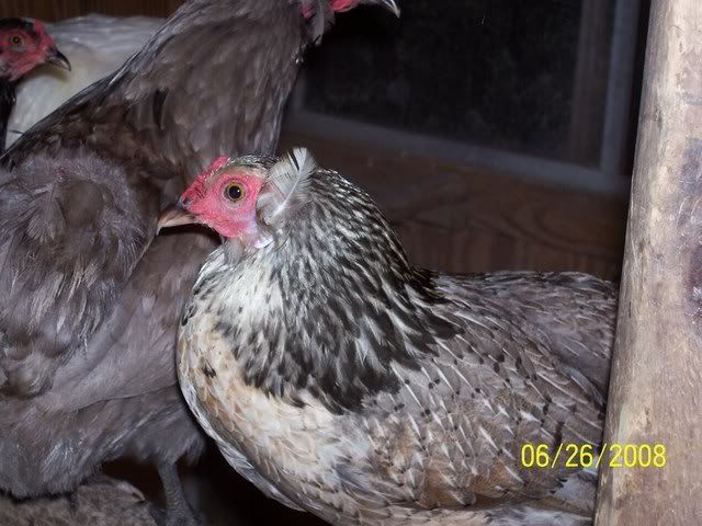 100_5091.jpg