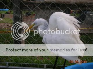 DSCN3912.jpg
