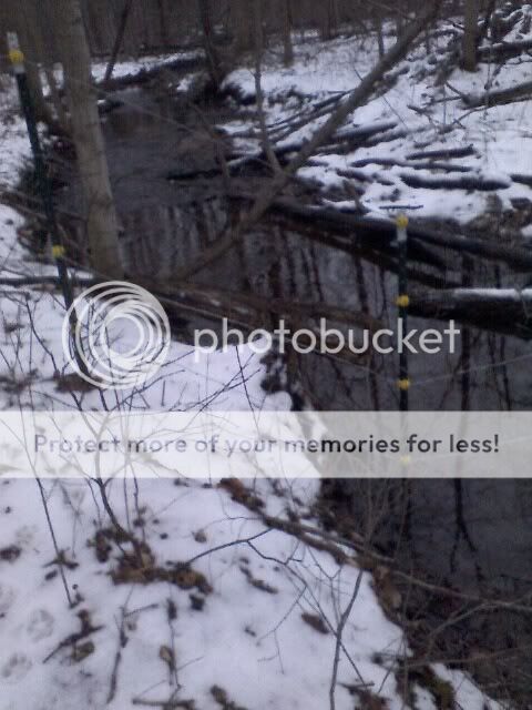 6045195039191_ORIG.jpg