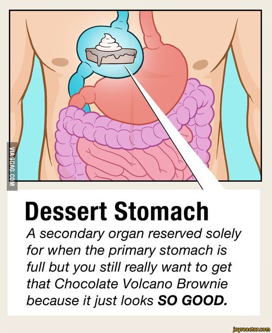 auto-9gag-1202057.jpeg