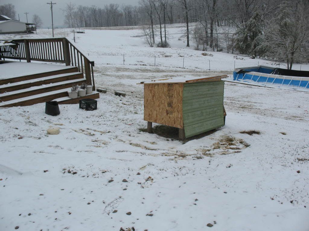 IMG_0345.jpg