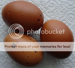 specklyeggs.jpg